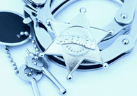 Providing managerial, organizational, and training services to law enforcement agencies